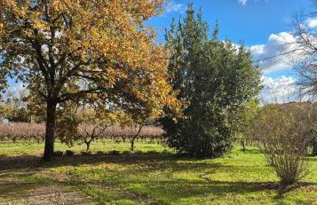 Maison au milieu des vignes - Photo 2