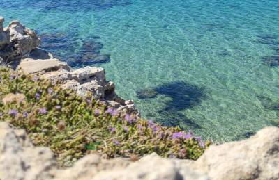 Summer House Annalisa - Foto 16