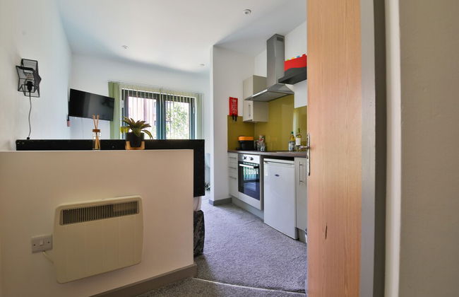 Princess Lofts Studios - Swansea City Centre - Foto 58