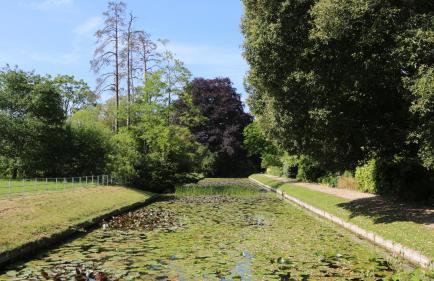 The Orangery - Foto 27