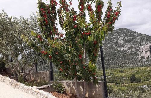 Holiday Home Vega in Nature with Pool - Foto 21