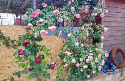 L'Acquerello Casa Toscana - Foto 38