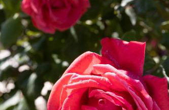 Villa Falkoni II - Foto 38