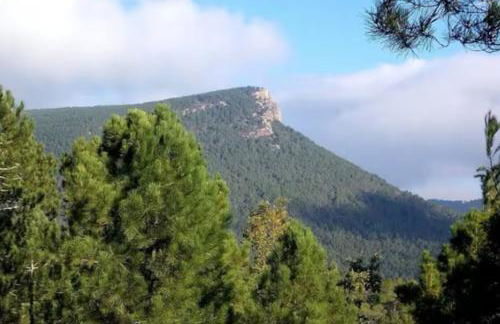 Casa Emilia - Foto 14