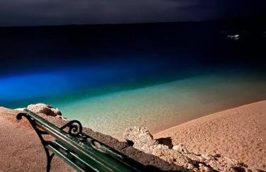 Kolonjicha Dvori - Foto 37