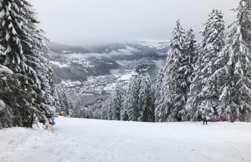 Appartamento Cinzia Residence Solaria Marilleva 1400 - Foto 77