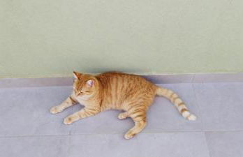 MENTOROS VILLAS - Foto 65