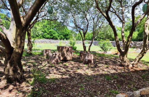 The Old Stone House Dida Jure - Foto 6