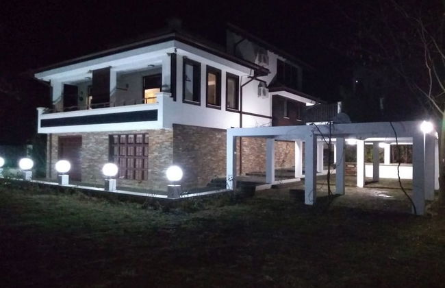 Dream House - Photo 12