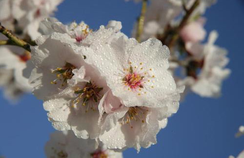 Apartamentos Casa Sanz - Foto 50