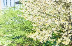 Wohnung in Zentrum Bonn - Foto 4