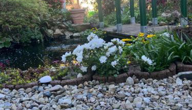 Appartement am Teich - Photo 2