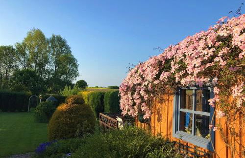Ferienhaus Deubel "Knechtenhaus" in Kappeln - Foto 18