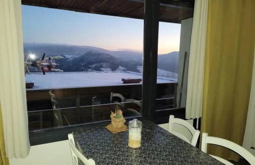 Appartement duplex avec vue sur le Sancy et garage couvert - Foto 7