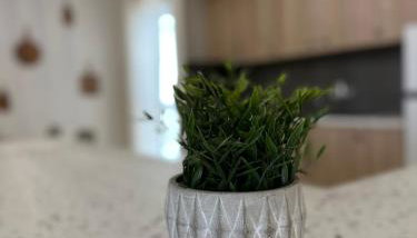 Anastasias house near Athens airport - Foto 3