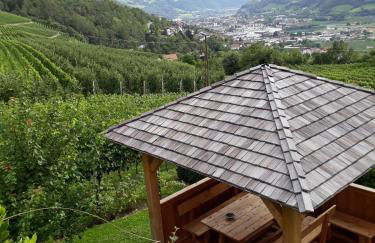 Strasserhof tenuta-Weingut - Foto 8