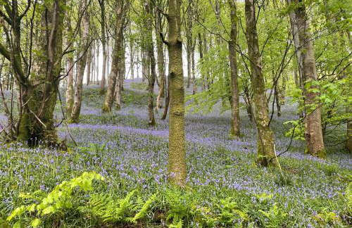 The Shack, Cally Avenue, Gatehouse of Fleet, Dumfries and Galloway, DG7 2 DH - Foto 16