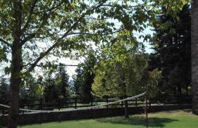 Livadaki Village - Δασικό Χωριό Λιβαδάκι - Foto 26