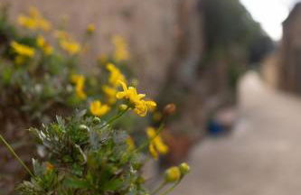 Masia Cal Fuster - Foto 26