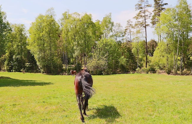 7 Person Holiday Home in Langaryd-by Traum - Foto 14