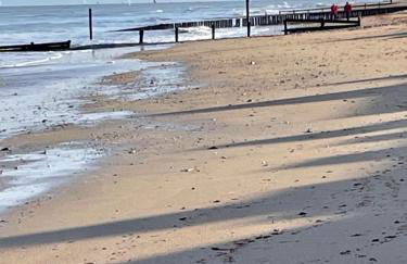 Saint-Aubin-Sur-Mer: Bel appartement traversant - Foto 19