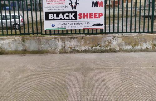 Lyon Vischi - Foto 19