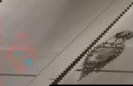 House of Artists-aquilotto - Photo 11