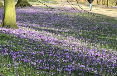 Toms great house of hygge - Photo 18