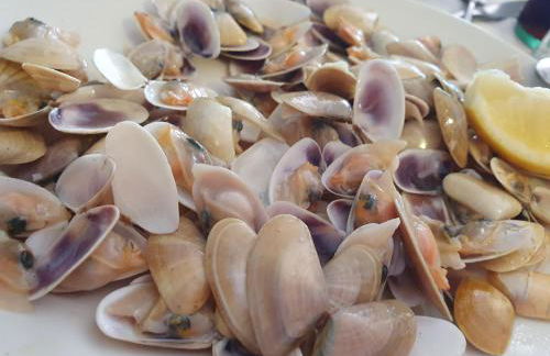 Brisas del mar - Photo 13