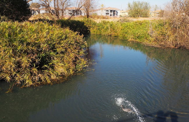 African Eagle Apartments - Foto 71