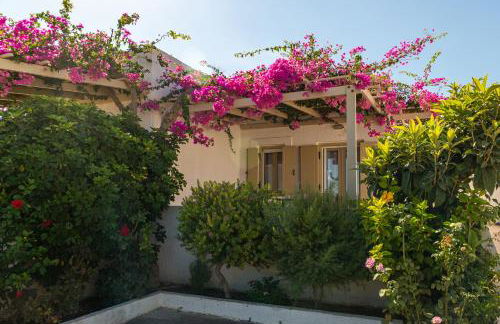 Glaros Kouremenos - Photo 46