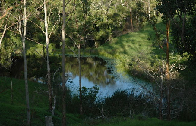Whispering Valley Cottage Retreat - Photo 31