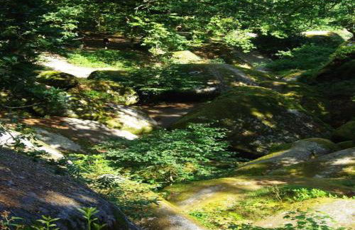 Stone House in Huelgoat, Brittany - Foto 33