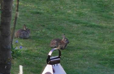 Haus am Hennesee - Foto 11