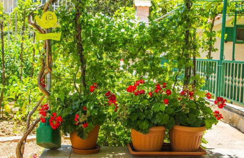 Cozy and nice apartment - Foto 36