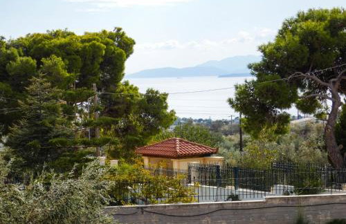 MG Studio Kineta - Foto 44