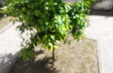 Asteris appartment - Photo 41