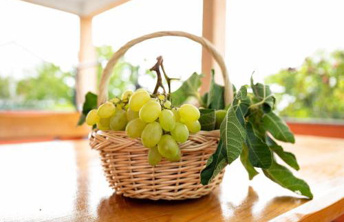 Villa Bistre - Foto 45