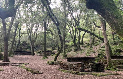 Agriturismo Terra Noas - Foto 17