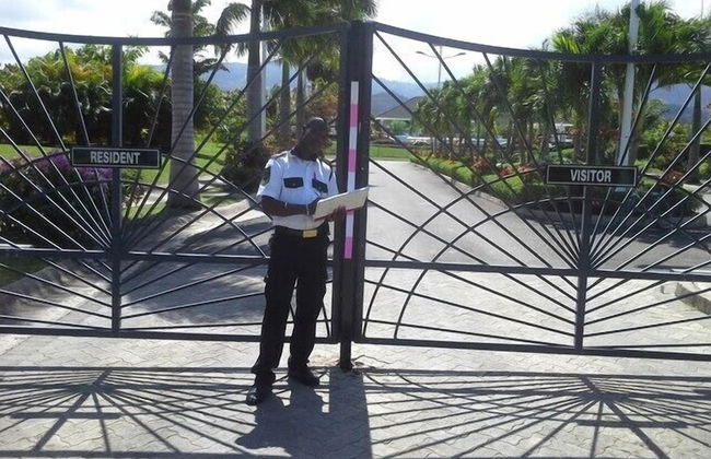 Ocho Rios Villa at the Palms II - Photo 31