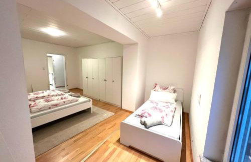 Sehr große Ferienwohnung, Apartment in Kaiserslautern WeHome Classic - Photo 6