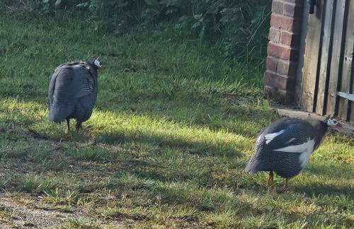 Cherry Tree Lodge with Hot Tub near Alton Towers - Foto 9