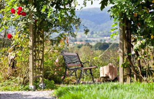 El Pedrueco turismo rural - Foto 59