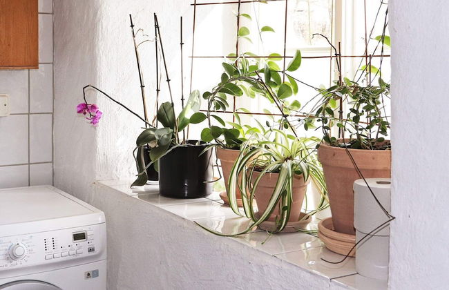 4 Person Holiday Home in Varberg-by Traum - Foto 12