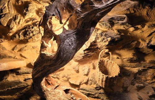 Cardenha das Formiguinhas - Foto 26