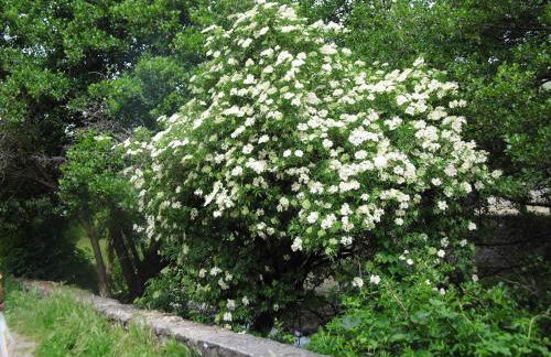 Apartamento Alhondiga Hervás - Foto 42