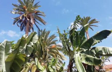 Finca Las Tapias, Casa Mañé - Foto 67