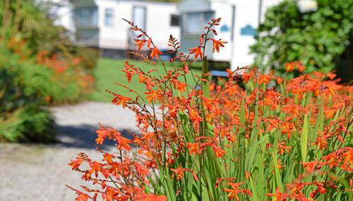 Roselands caravan park, Nr Lands End, Cornwall - Foto 5, Garden, Garden view