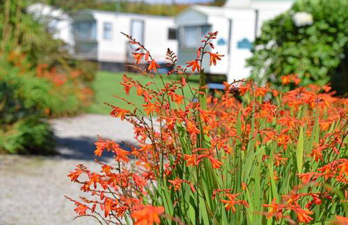 Roselands caravan park, Nr Lands End, Cornwall - Foto 5