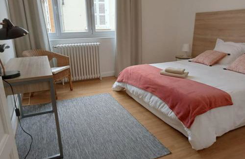 Le Petit Appart au coeur de Vichy - Foto 10